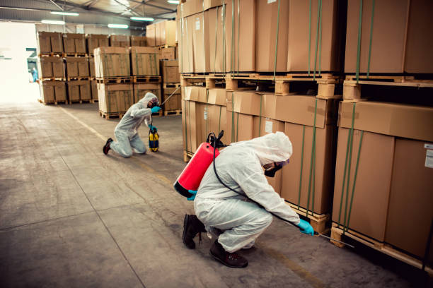 Best Pest Inspection Near Me  in West Ishpeng, MI
