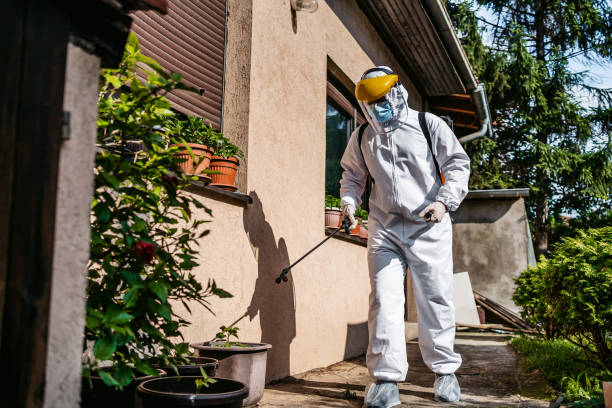 Best Pest Control Near Me  in West Ishpeng, MI