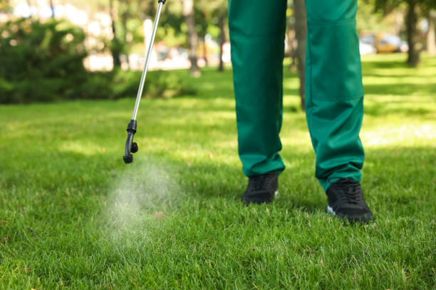Best Wasp Removal Services  in West Ishpeng, MI