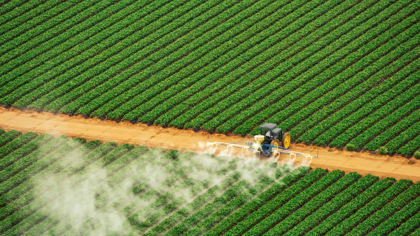 Best Mosquito Control Services  in West Ishpeng, MI