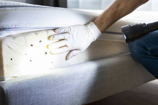 Best Best Pest Control Companies  in West Ishpeng, MI