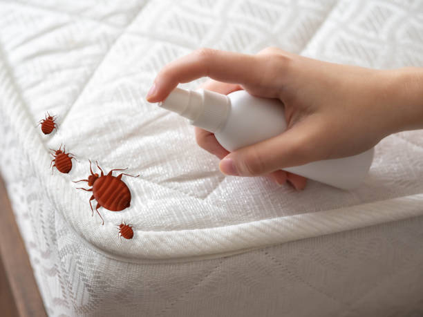 Best Spider Control Near Me  in West Ishpeng, MI