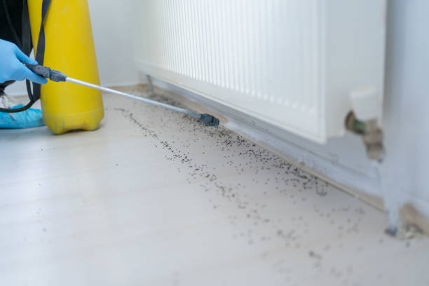 Best Pest Control Near Me  in West Ishpeng, MI