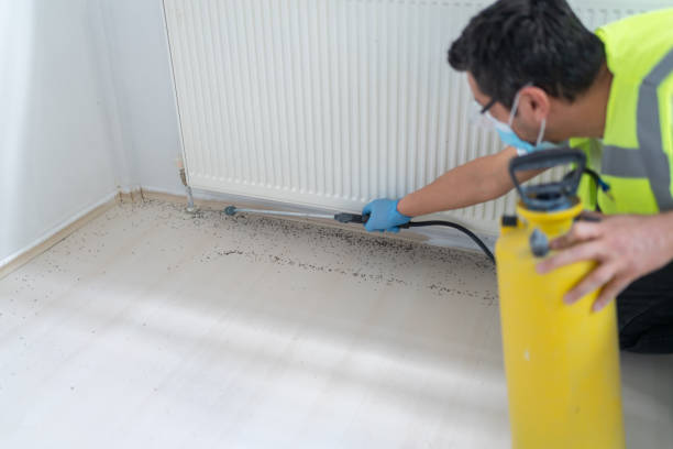 Best Termite Control Services  in West Ishpeng, MI