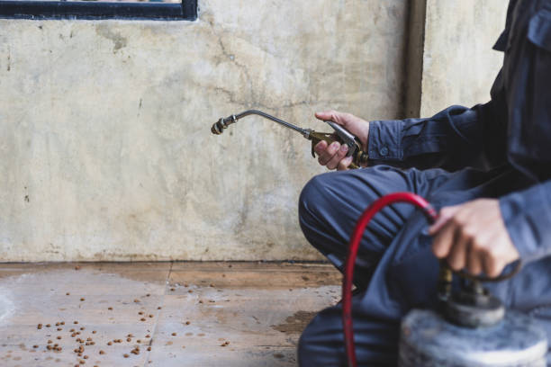 Best Residential Pest Control  in West Ishpeng, MI