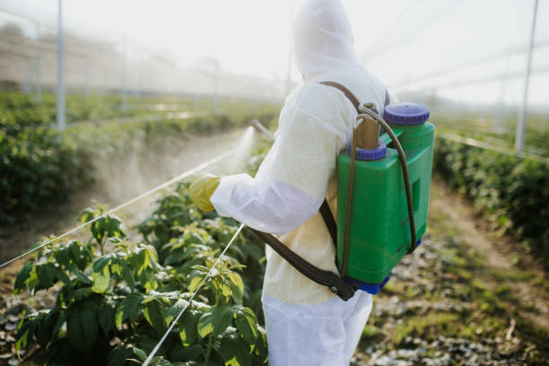 Pest Control for Restaurants in West Ishpeming, MI